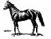 chevaux-26